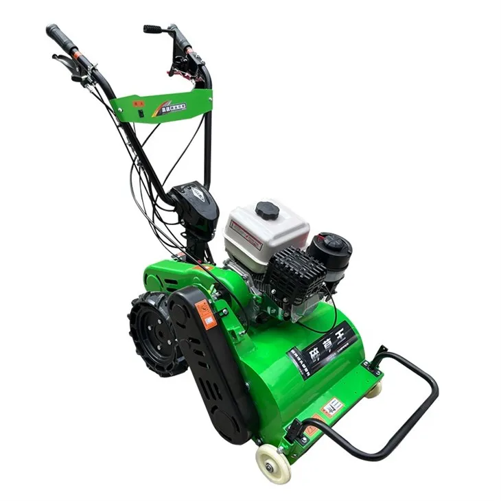 20-in Gasoline Push grass lawn mower
